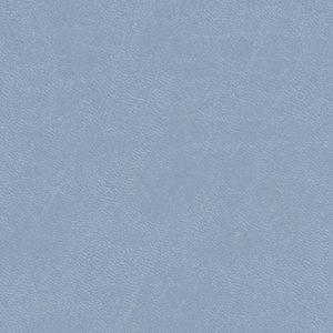 Baby Blue Leather album cover swatch