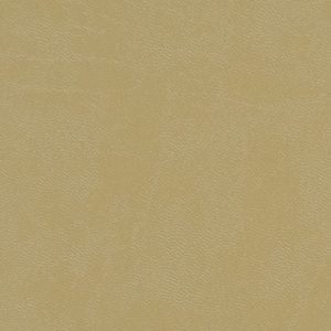 Beige Leather album cover swatch