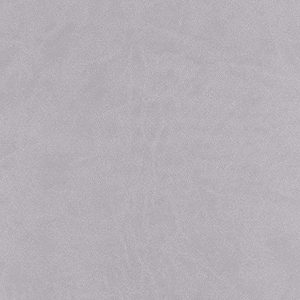 Light Grey Leather album cover swatch