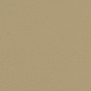 Beige Micro Leather album cover swatch