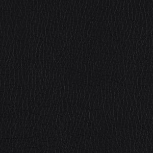 Black Micro Leather album cover swatch