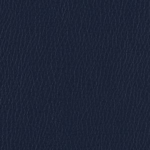 Blue Micro Leather album cover swatch
