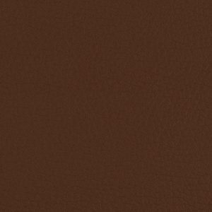Brown Micro Leather album cover swatch
