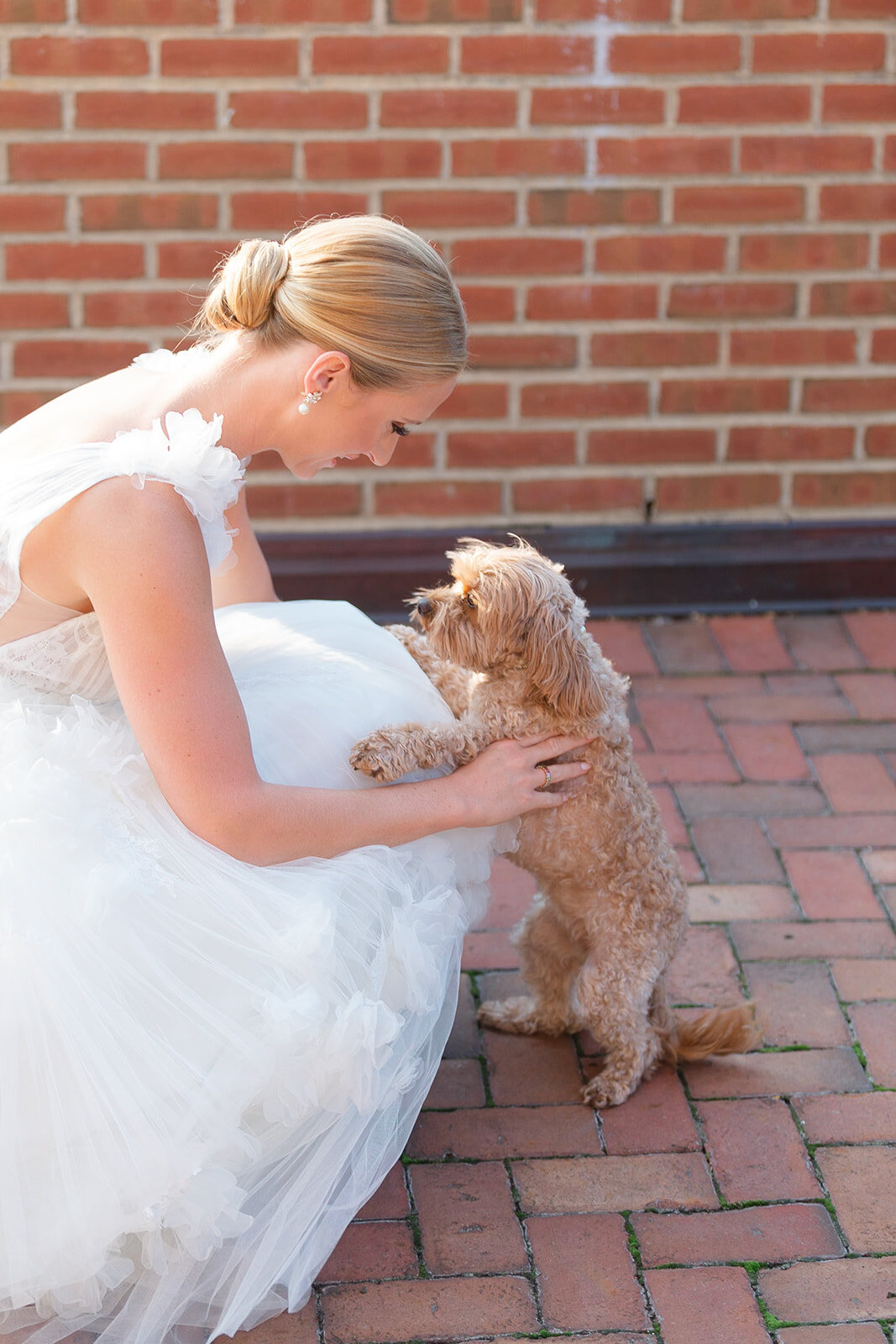 Ashley bends to greet Penny, their ring bearer, on the terrace
