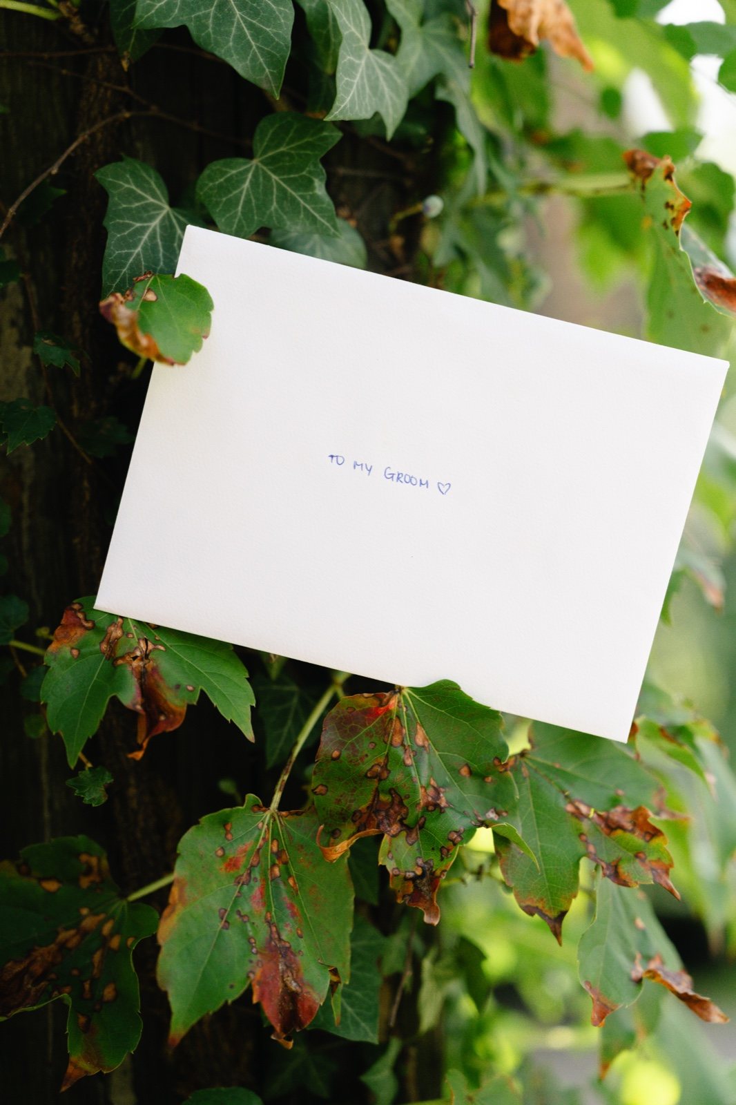 A letter tucked into the leaves