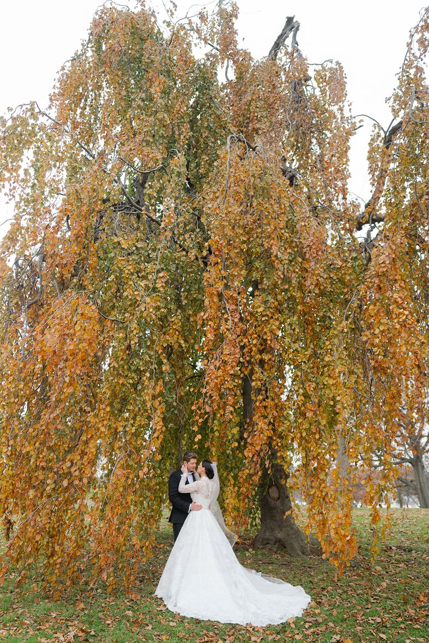 The couple stands beneath a weeping beech in full amber autumn color on Glen Island.