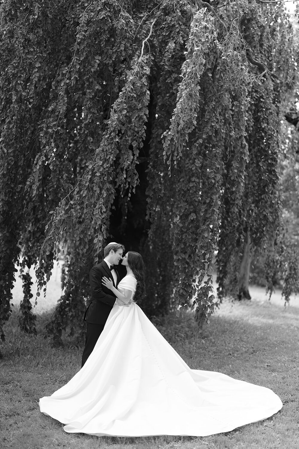 A black and white embrace beneath the weeping beech, the bride's train sweeping the grass.
