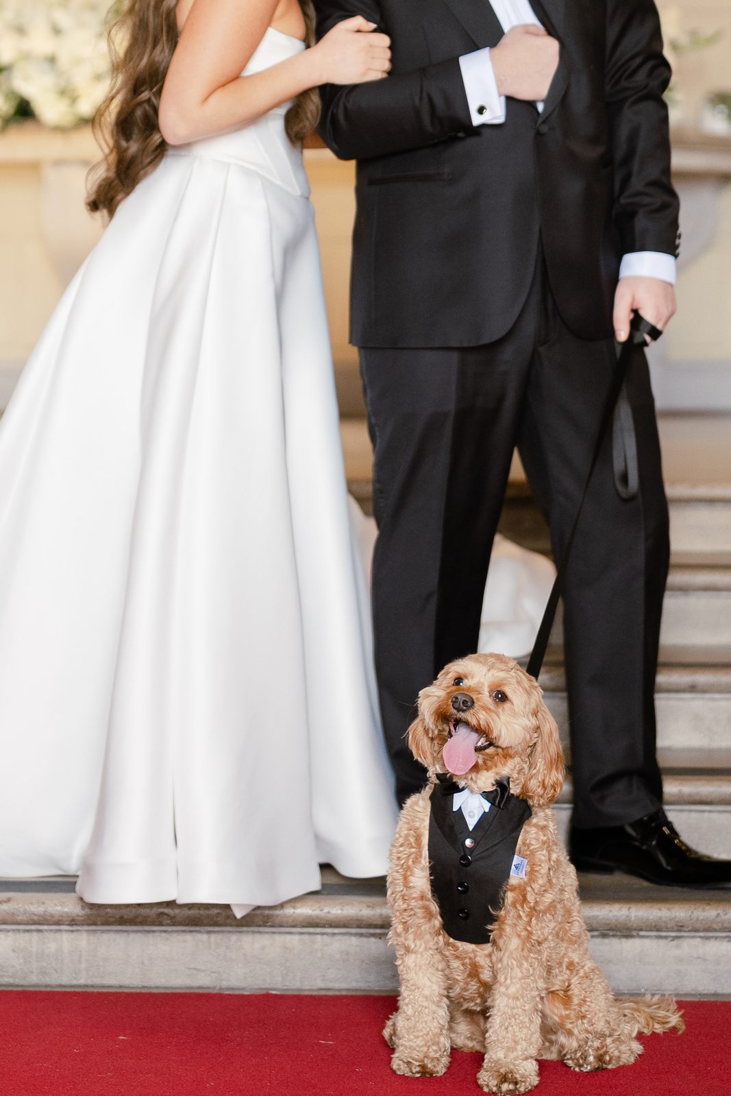 Rachel and Ian at the Oheka Castle entrance with Riley on the red carpet