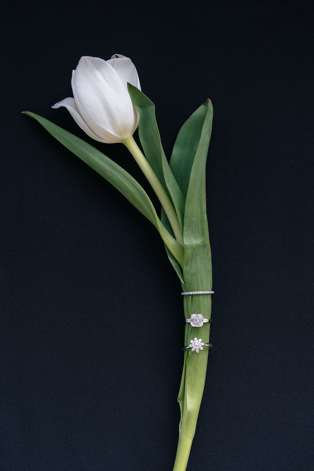 Wedding rings resting on a white tulip, a detail from an Edgewood Country Club wedding