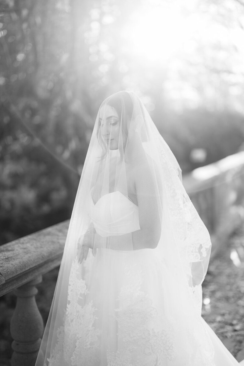 Anna & Daniel — photograph 19 by Alex Knight Studio