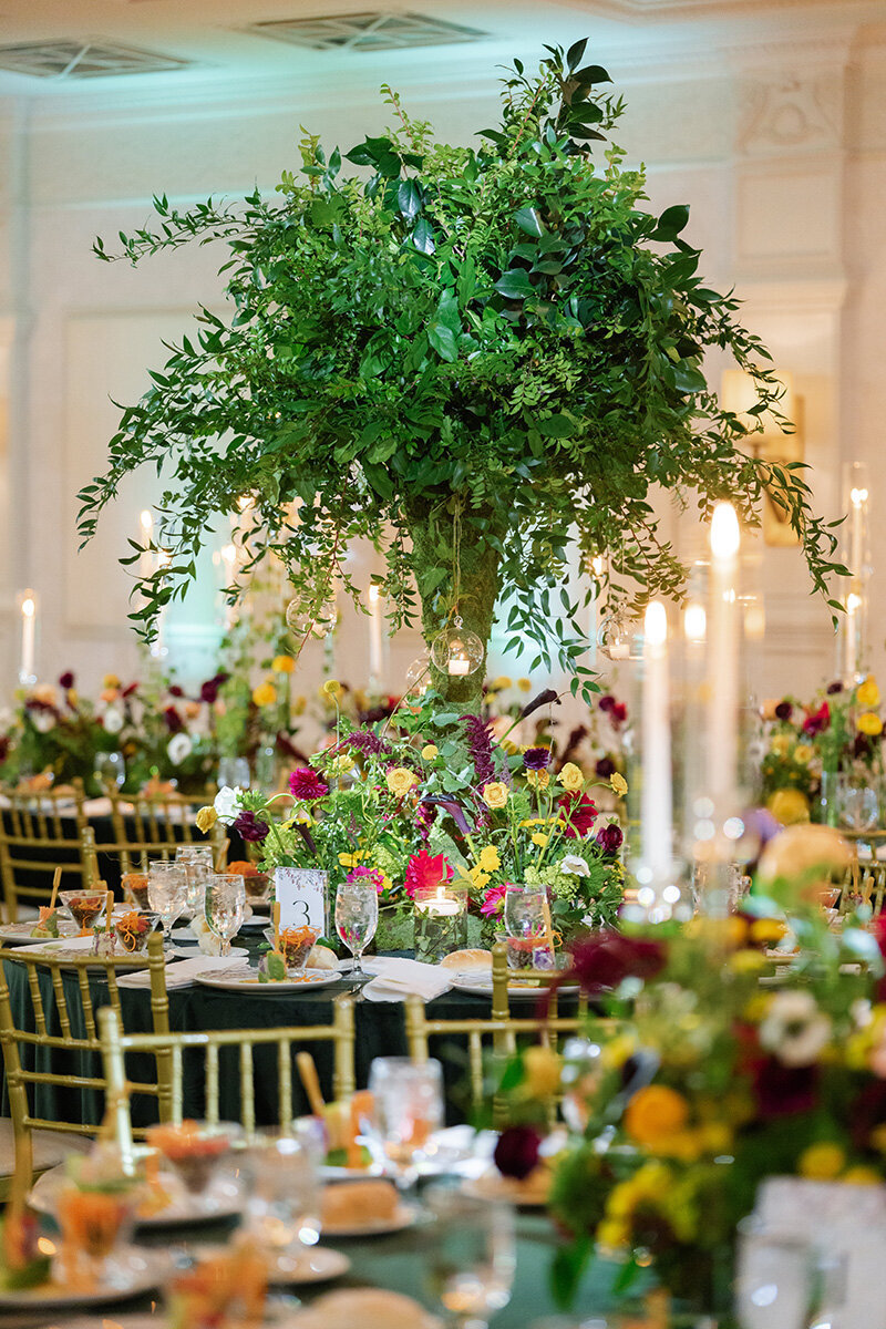 Emma & Jason — photograph 42 by Alex Knight Studio