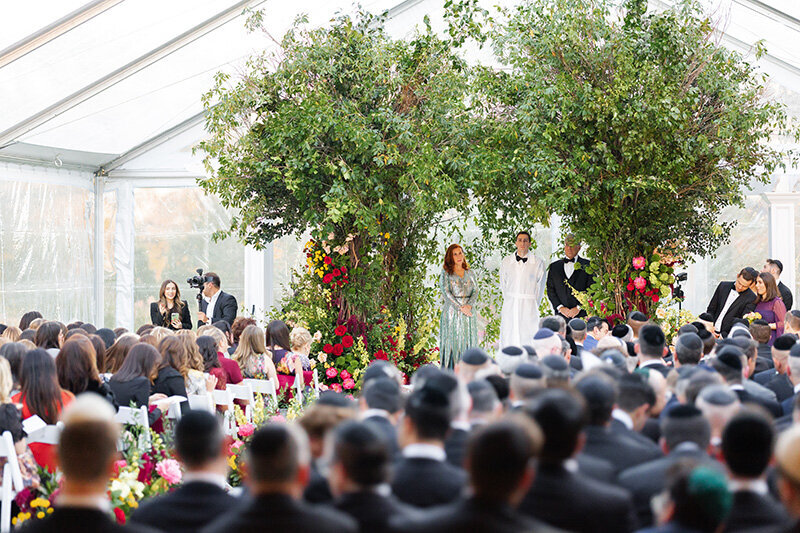 Sophia and Jacob — photograph 57 by Alex Knight Studio